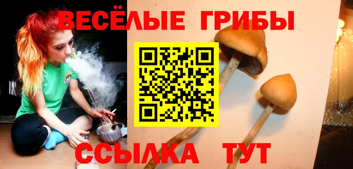 Галлюциногенные грибы Cubensis Орёл